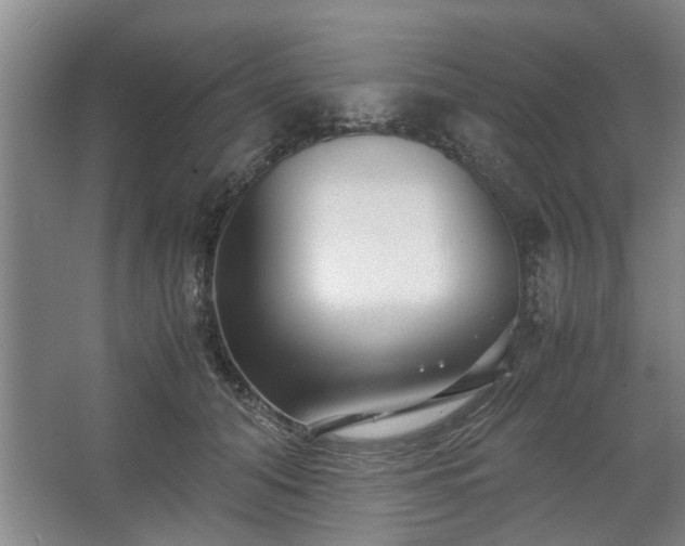 X0000062620608200512281531