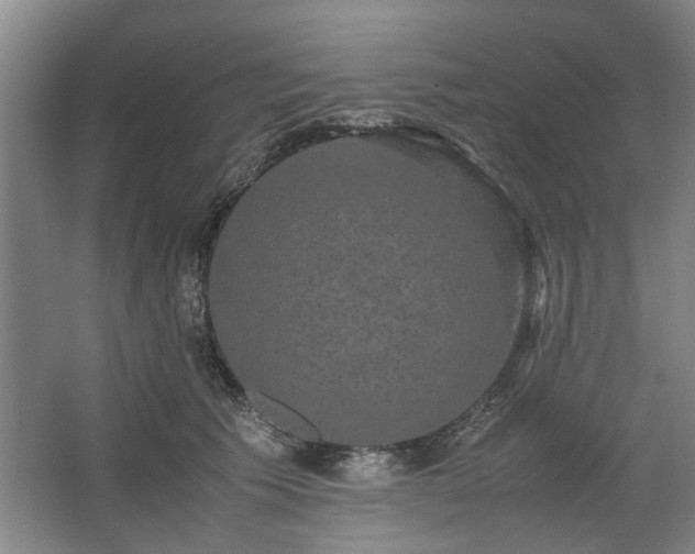 X0000062620609200512281531