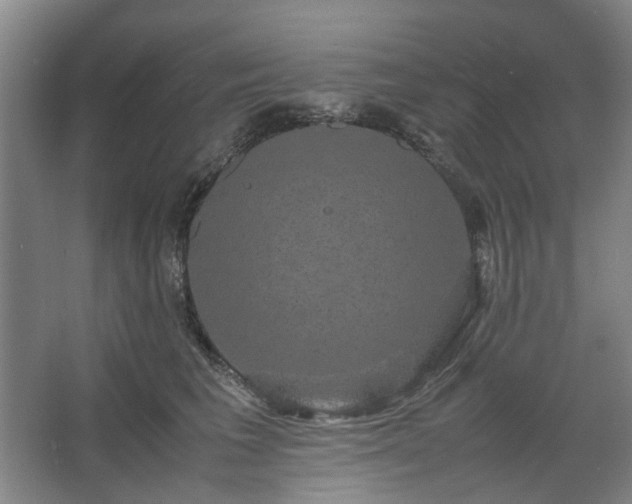 X0000062620613200512281531