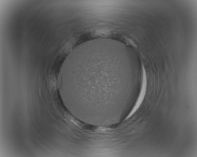 X0000062620617200512281531