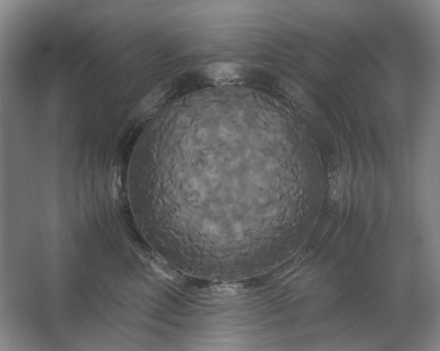 X0000062620618200512281531