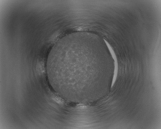 X0000062620620200512281531