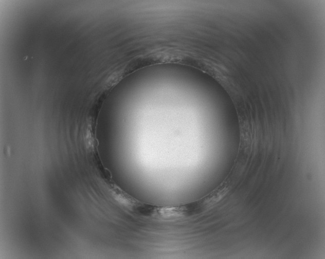 X0000062620622200512281531