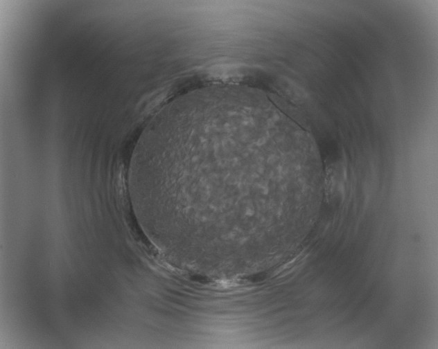 X0000062620623200512281531