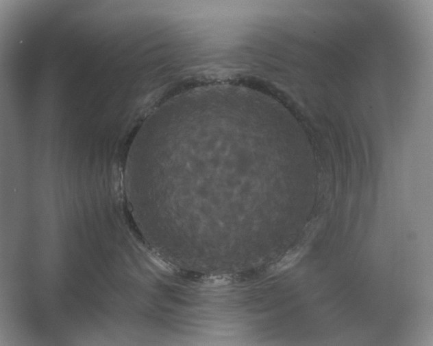 X0000062620624200512281531