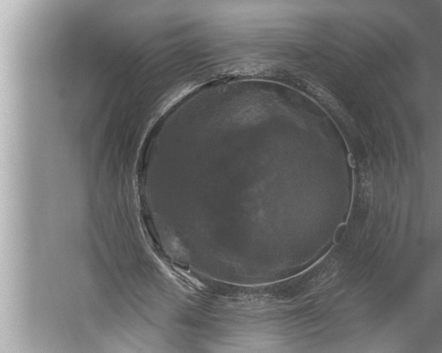 X0000062620626200512281530