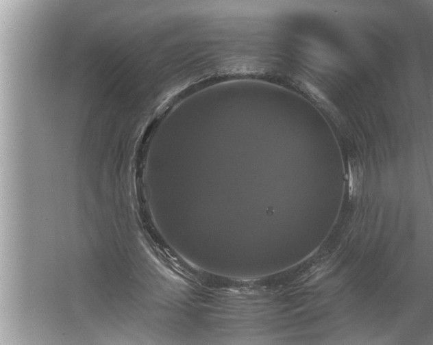 X0000062620627200512281530