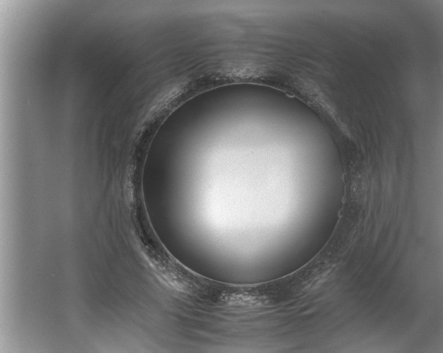 X0000062620635200512281530