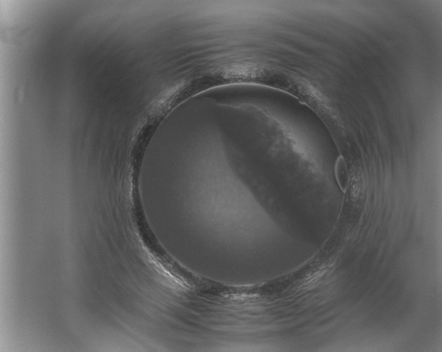 X0000062620637200512281530