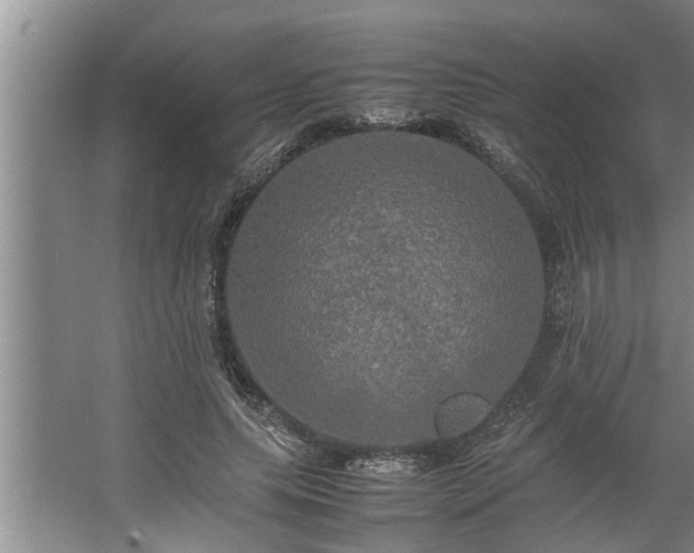 X0000062620639200512281530