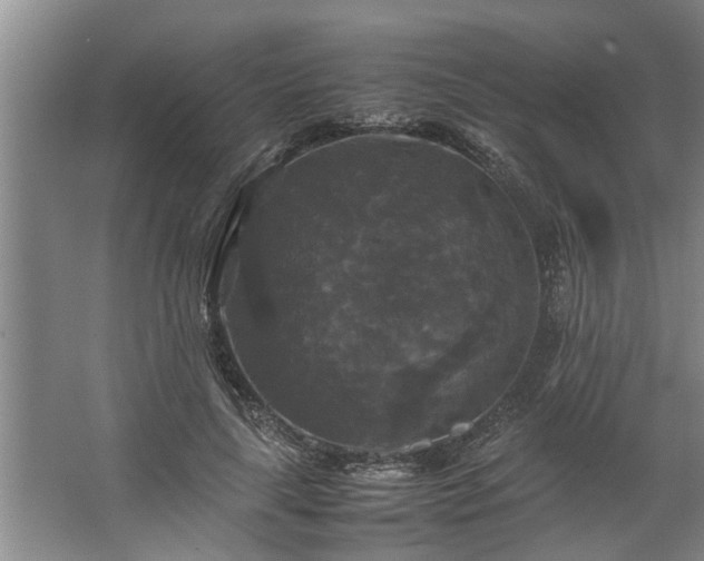 X0000062620643200512281530