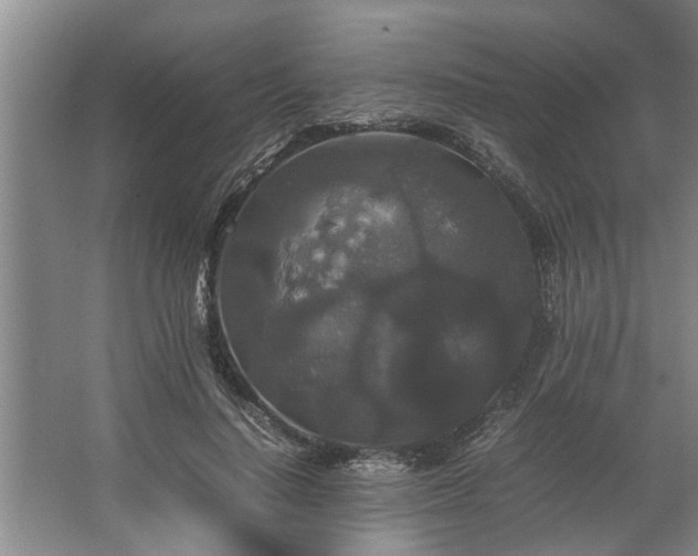 X0000062620644200512281530