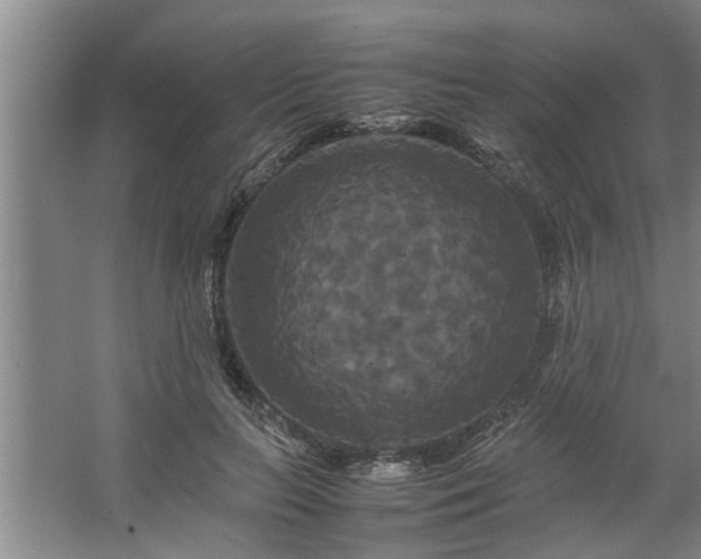 X0000062620647200512281530