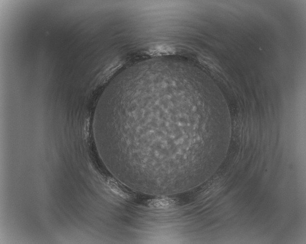 X0000062620652200512281530