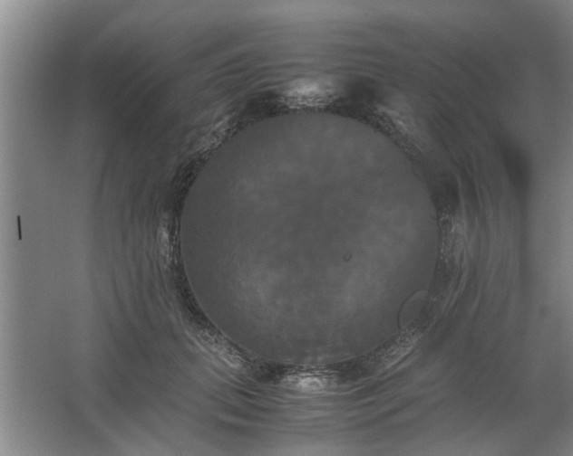 X0000062620655200512281531