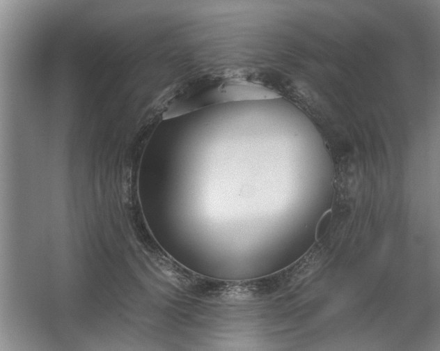 X0000062620656200512281531