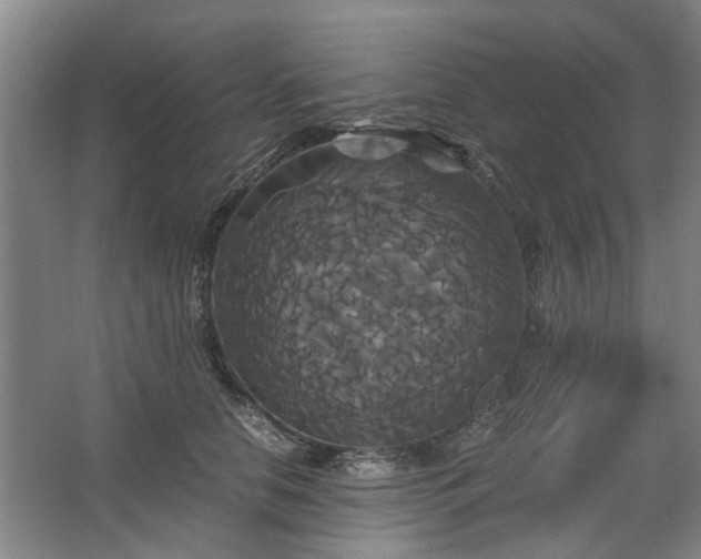 X0000062620658200512281531