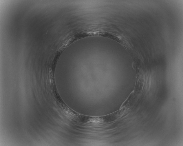 X0000062620659200512281531