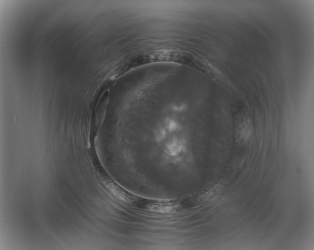 X0000062620661200512281531