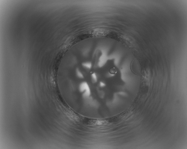 X0000062620663200512281531