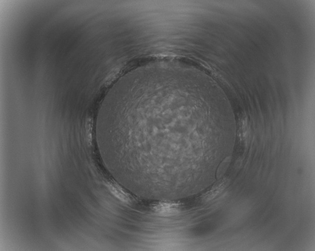 X0000062620664200512281531