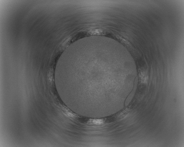 X0000062620665200512281531