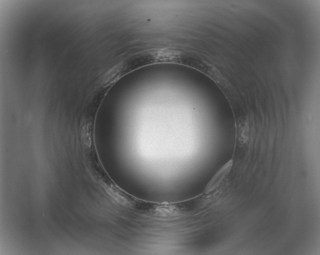 X0000062620666200512281531