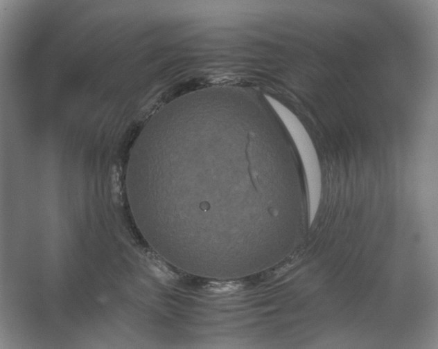 X0000062620667200512281531