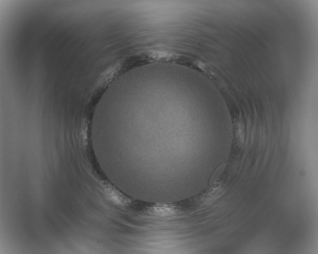 X0000062620668200512281531