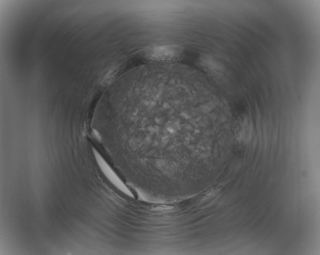 X0000062620669200512281531