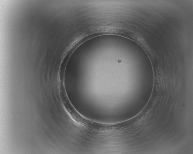 X0000062620674200512281530