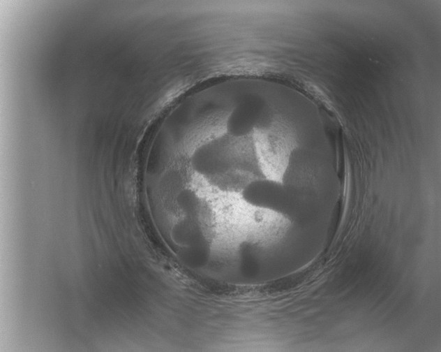 X0000062620675200512281530