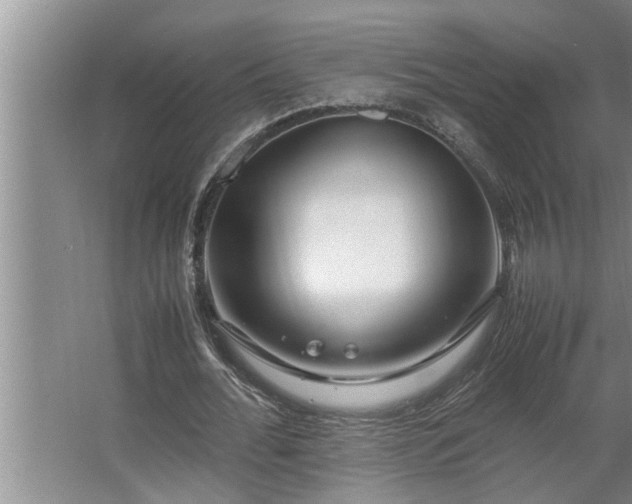 X0000062620676200512281530