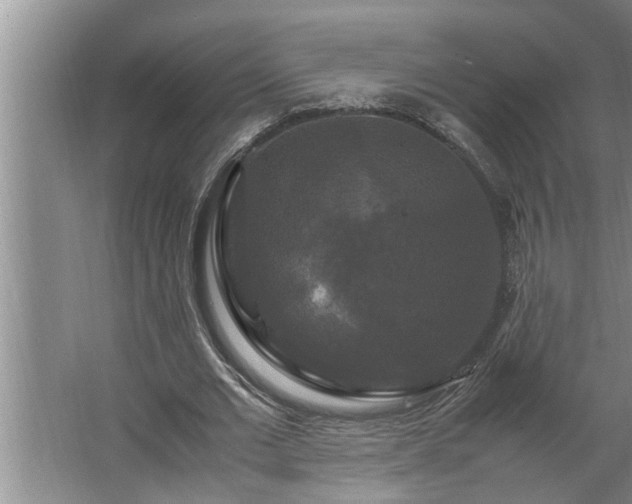 X0000062620677200512281530