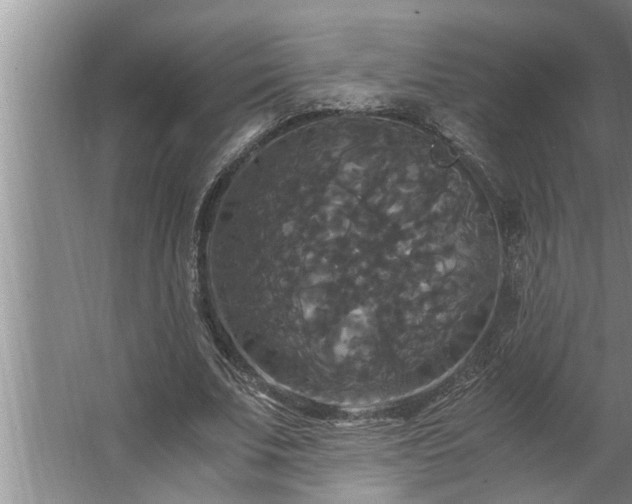 X0000062620679200512281530