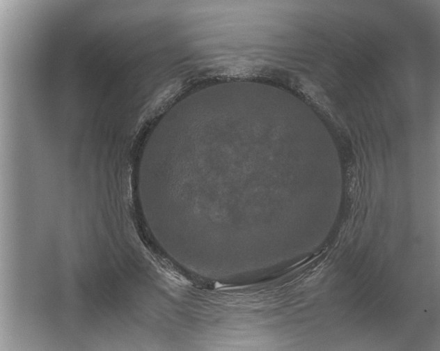 X0000062620685200512281530