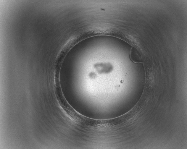 X0000062620686200512281530