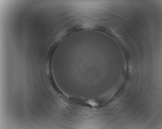 X0000062620689200512281530