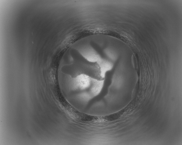 X0000062620695200512281530