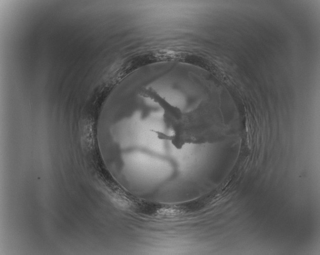 X0000062620699200512281530