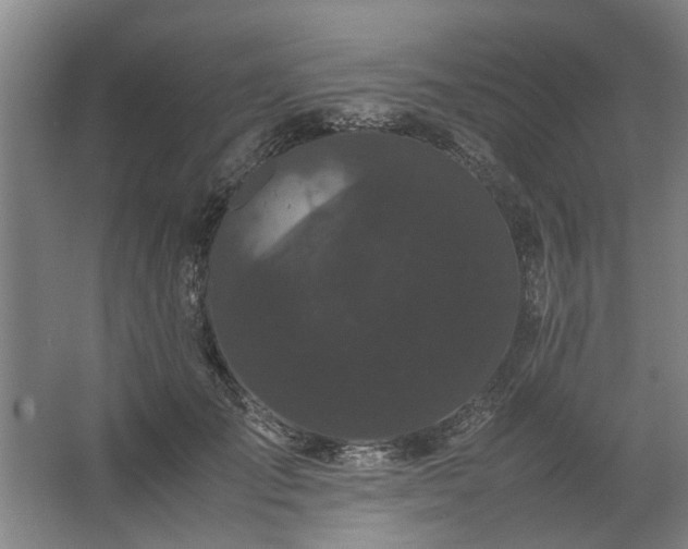 X0000062620701200512281530