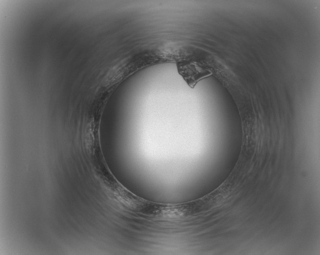 X0000062620702200512281529