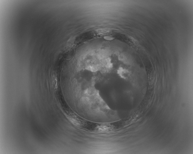 X0000062620703200512281529