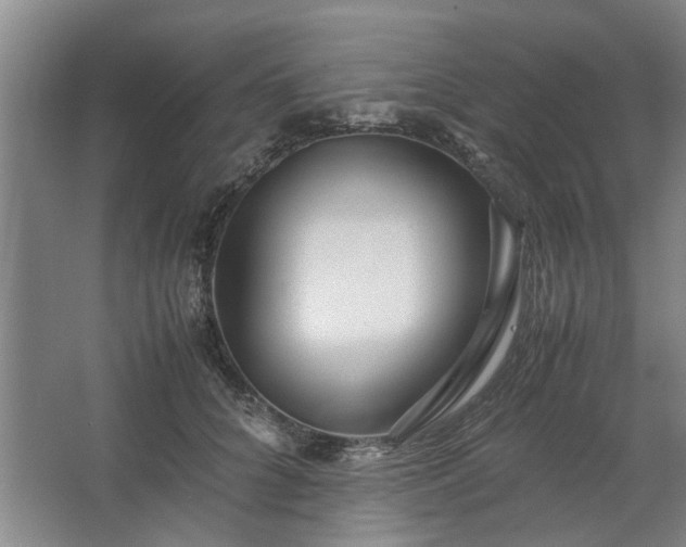 X0000062620704200512281529