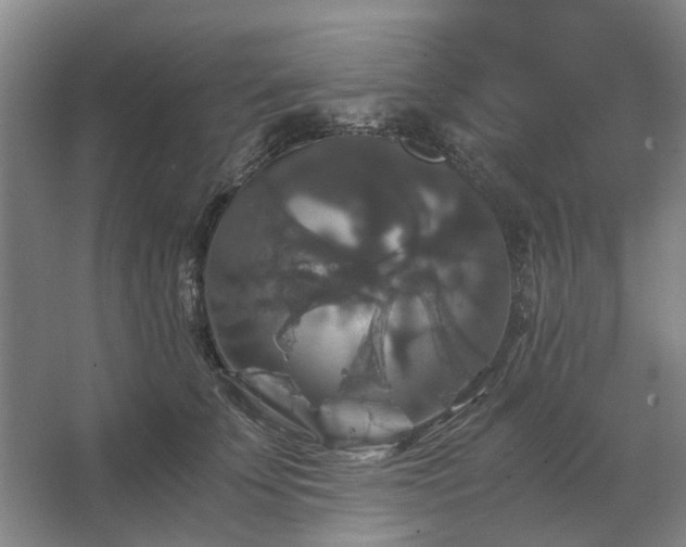 X0000062620707200512281529