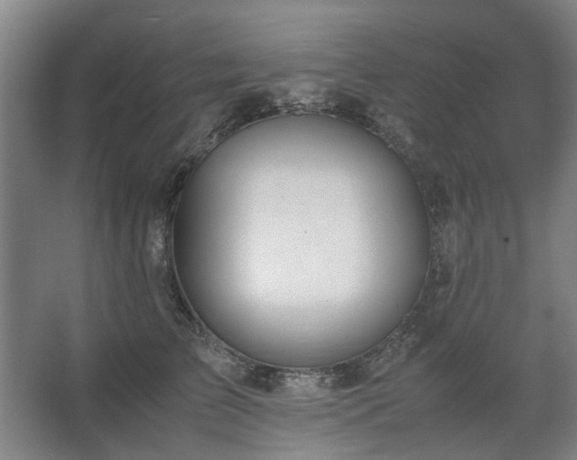 X0000062620709200512281529