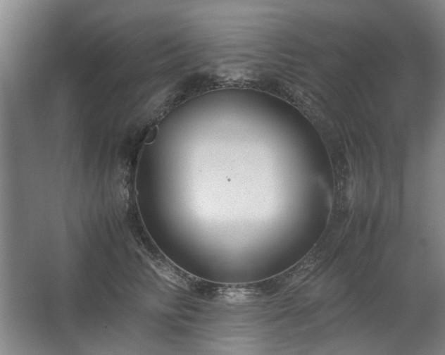 X0000062620710200512281529