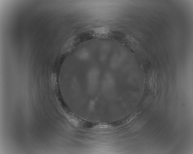 X0000062620711200512281529