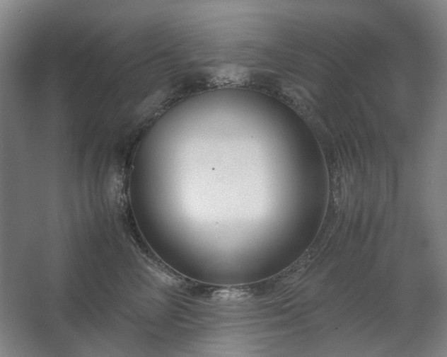 X0000062620714200512281529