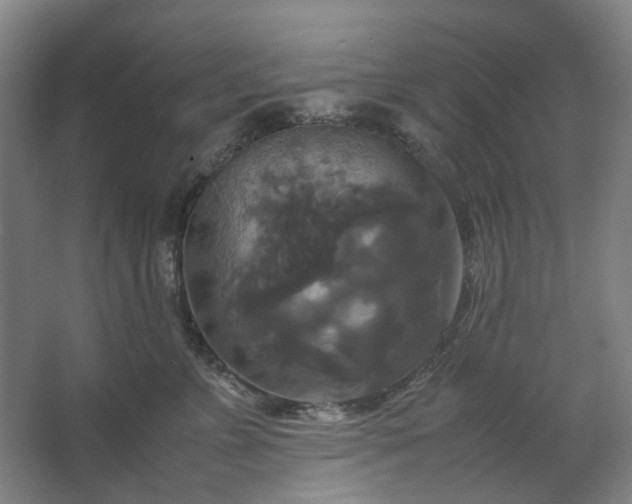 X0000062620715200512281529